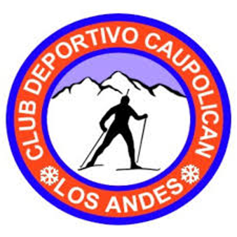 Club Deportivo Caupolicán Los Andes
